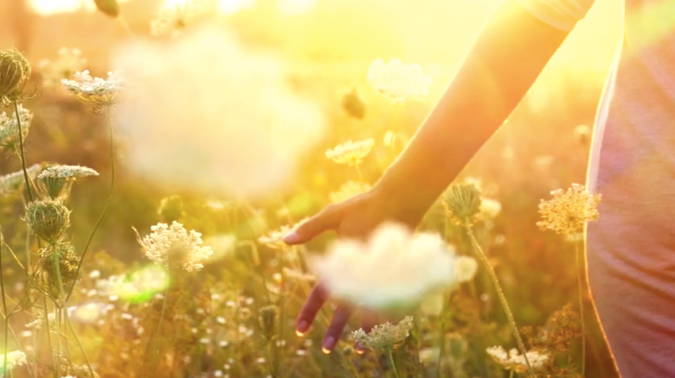 Screen Shot 2018-02-10 at 9.42.12 PM